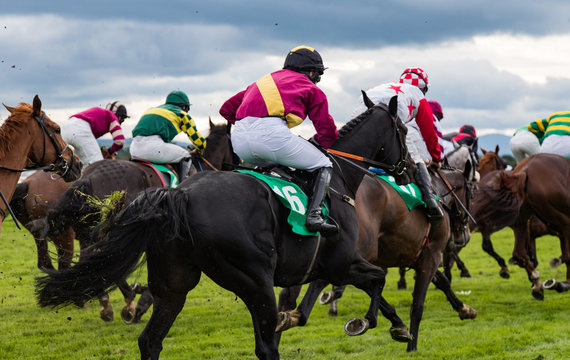 Group of  jockeys and race horses galloping on the race track