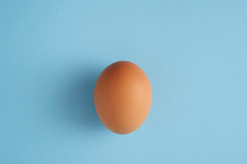 One egg on a blue background, close-up.