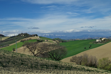 Obraz premium landscape with green field and blue sky,italy,countryside,rural,agriculture,mountains,spring,landscape,view,horizon,panoramic,