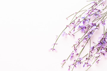 Obraz premium Flowers composition. Pink flowers on pink background. Easter, spring concept. Greeting card.