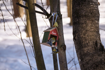 Two tits on a feeder in spring
