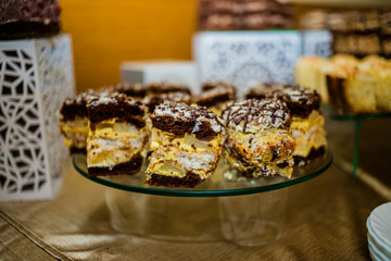 The bright cupcakes are laid out on the trays