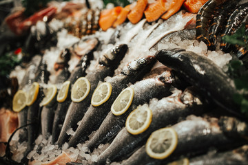 A wide variety of fresh seafood and fish displayed on a bed of ice. Concept of market food, shellfish, seafood and fish. Vegetarian and pescatarian diet.