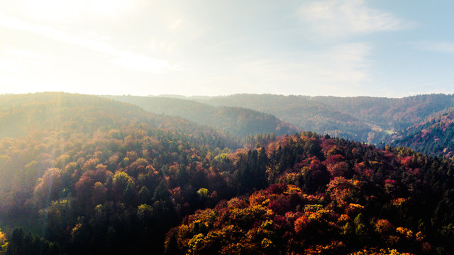 Wald im Herbst, Drohnenaufnahme
