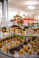 The bright cupcakes are laid out on the trays