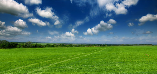 Obraz premium Beautiful, green field