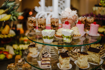 The scrumptious cupcakes are laid out on the trays