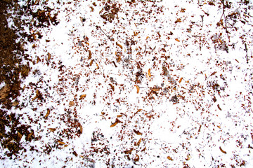  background texture earth green gray