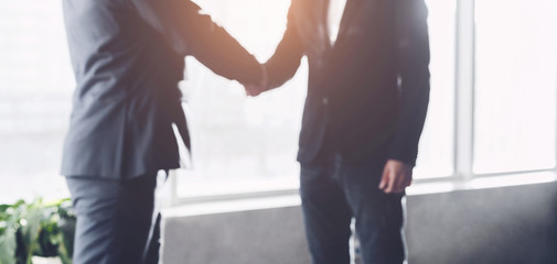 Business partners shaking hands finishing meeting successfully