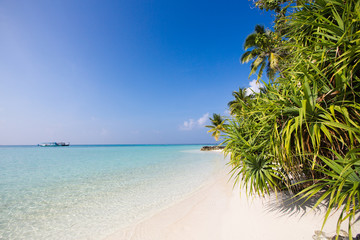 Paradiesischer tropischer Strand auf den Malediven