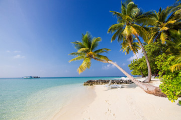Paradiesischer tropischer Strand auf den Malediven