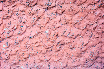 texture pink concrete wall