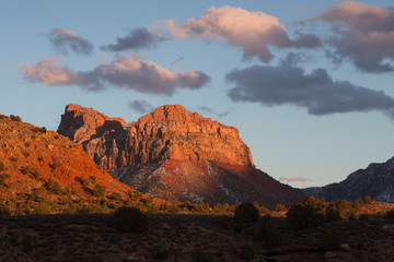 Beautiful sunny horizontal sunset view of mountains and shrubs in Zion National Park, southern Utah