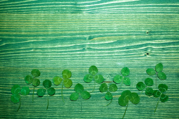 Green real clover leaf on wooden background. top view