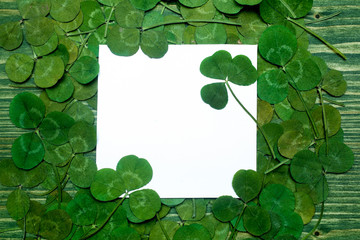Green leaves of clover and paper. Top view. Flat lay