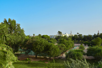 landscape with river and trees