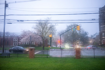 small town under pouring rain at the beginning of spring