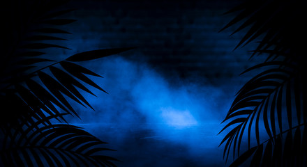 Fototapeta na wymiar Background of the dark room, tunnel, corridor, neon light, lamps, tropical leaves. Abstract background with new light. 