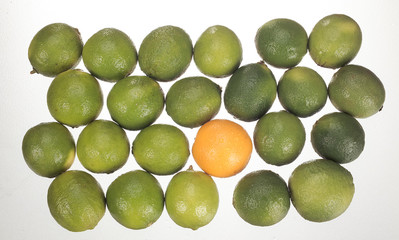 Limetten