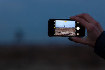 taking photo by mobile, hand holding mobile phone