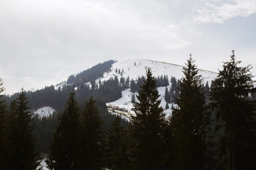 Obraz premium Spring vs winter landscape in the Carpathian mountains