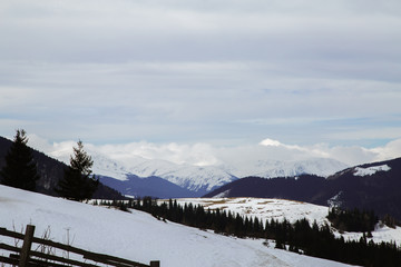Fototapeta na wymiar Spring vs winter landscape in the Carpathian mountains