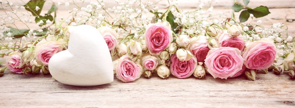 Blumenstrau&szlig; Rosen Hintergrund Panorama