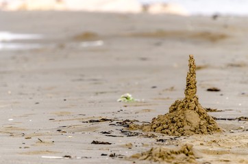 Composizione di sabbia sulla spiaggia
