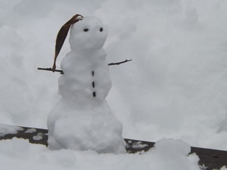 snowman in the snow