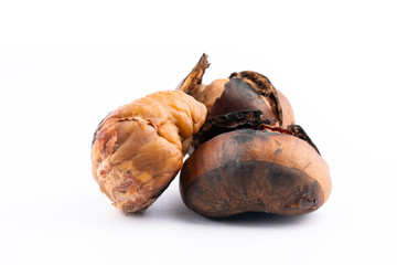 roasted chestnut