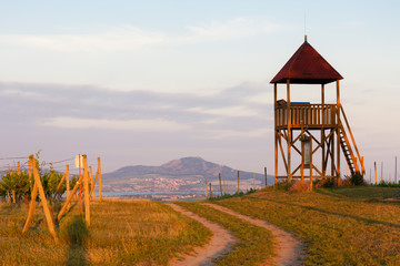 lookout tower Starovicky, Moravia region, Czech Republic