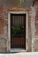 Fototapeta na wymiar Doorway with Iron Grill and Flowers, Venice