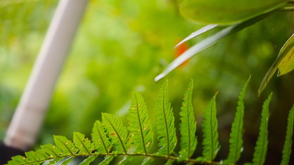 #nähe #nahaufnahme #natur #grün 