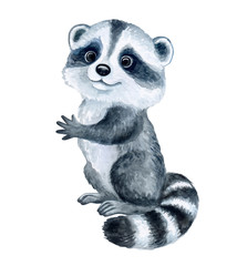 Cute Raccoon cartoon isolated on white background. Watercolor. Illustration. Template. Hand drawing. Clipart. Close-up. Hand painted
