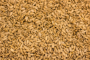cleaned sunflower seeds cereals food texture background 