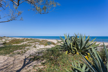 Sandy dunes in the mediterranean, Denia, Valencia, Spain