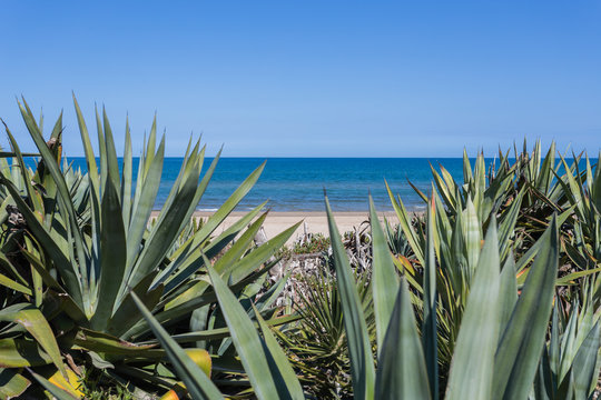 Sandy dunes in the mediterranean, Denia, Valencia, Spain