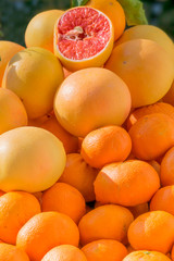 A large pile of citrus fruits on bazaar. Fresh unpeeled mandarins, oranges and clementines background. Healthy Organic Food