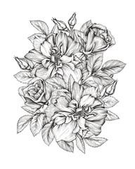 Graphic bouquet of flowers for the design of postcards and posters. Handmade pen and ink.