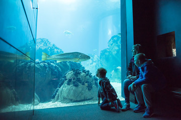 Family watching the shoal of fish swimming in oceanarium