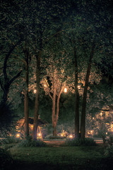 Märchenhafte Nacht im Park
