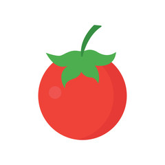 illustration of red tomato