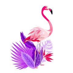 Tropical summer arrangements with pink  flamingo, tropical flowers, palm leaves, jungle plants, hibiscus, bird of paradise flower. Beautiful floral exotic illustration isolated on white backgro