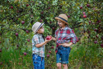 Portrait of a brother and sister in the garden with red apples.