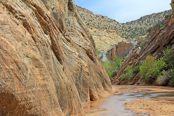 Hackberry Canyon - Utah