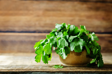 Fresh Cilantro Bunch