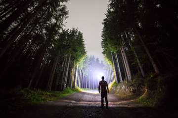 Back view of man with head flashlight standing on forest ground road among tall brightly illuminated spruce trees under beautiful dark blue sky. Night wood landscape and adventure.