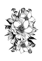 Graphic bouquet of flowers for the design of postcards and posters. Handmade pen and ink.