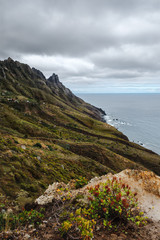 Fototapeta na wymiar View of the coast of the Anaga Country Park