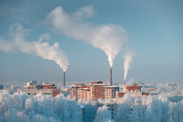 A small northern city in the forest. Frost on trees.